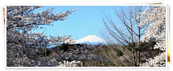 富士見園からの遠景